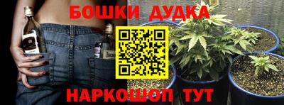 твердый Будённовск
