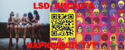 твердый Будённовск