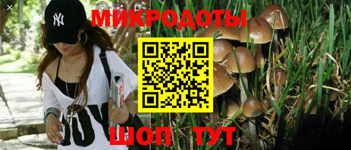 Березники  купить наркотик  Вход с VPN  Псилоцибиновые грибы GOLDEN TEACHER 