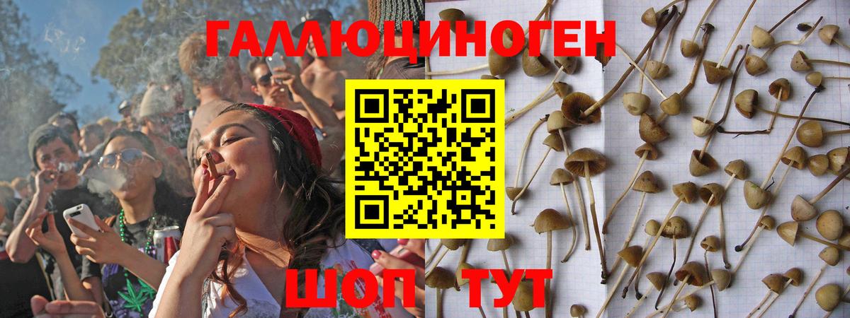 Галлюциногенные грибы мухоморы Березники